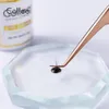 Outils GOLLEE HOT ET Économique Thin Fast Glue for Extensions Lash Glue 5ml pour les faux cils 1S Drying for Professional Chary