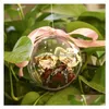 Party Decoration Christmas Ornament High Transparenta Balls Sphere Round Plastic Hanging Hollow Ball Candy Packaging Flower Dhokg