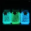 Garden Decorations 20g Glow Pigment Bright Gravel Noctilucent Sand Glowing In The Dark Powder Party DIY Fluorescent Super Luminous