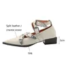 Dress Shoes 2023 Lente vrouwen Pumps gesplitst leer voor puntige teen dikke lage hiel Mary Janes Fashion Belt Buckle