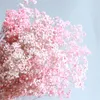 Decoratieve bloemen Baby's BEAD ECHTE GYPSOPHILA DIY Natural Drooged Flower Floral Bouquets Arrangement voor trouwhuisdecoratie