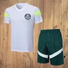 23 24 Palmeiras DUDU RONY Mens Soccer tracksuits BRENO LOPES R.VEIGA DEYVERSON ATUESTA ZE RAFAEL G.VERON DANILO R.NAVARRO Football Shirts Training polo full set