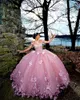 Pink Princess Ball Gown Quinceanera Dresses 3D Flowers Applique Pearls Sweet 16 Dress Birthday Vestidos de 15 Anos Lace-Up 322