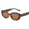 Cadres 2023 Nouvelles lunettes de soleil ovales à petit cadre de marque GM Magilla Co Vendeur chaud d'avant-garde