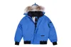 marque Men's Down Parkas dupes designer luxe Bodywarmer Men puffer winter warm Canadian outdoor Hiver Hommes Doudoune Manteau Male Veste Coats Overcoat