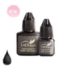Borstar 1 Bottle Lady Black Lash Lime Korea Torka snabbaste starkaste False Eyelash Extensions Lim 5G 10G Makeup Tool Professional Adhesive