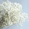Dekorative Blumen Babys Atem Echte Gypsophila DIY natürliche getrocknete Blumen Blumensträuße Arrangement für Hochzeit Home Dekoration