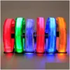 Dog Collars Leashes 4 Colors Cat Pet Colorf Light Flashing Safety Adjustable Collar Solid Color Led Reflective Antilost Dh0272 Dro Dhqv4