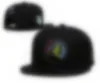 Hiphop Snapback Team Regulowane męskie logo haftu na zewnątrz sportowy sport