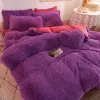 Soft Four-piece Warm Plush Bedding Sets King Queen Size Luxury Quilt Cover Pillow Case Duvet Brand Bed Comforters Supplies Chic