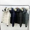 Мужские парки Xkrp Wyndham Big Goose Down Jacket для канадских 29 лет и женские пары из морозостойкого натурального волчьего меха 3808 м