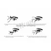 False Eyelashes Wholesale-Magnetic False Eyelashes Extension 0.2Mm 3D Magnetic Makeup Soft Hair Fake With Retail Drop Delivery Health Dhcfd