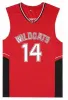 Wildcats High 14 Troy Bolton Red College Üniversitesi NCAA Jersey Mens Basketbol 13 34 ED SESLİ KOLAY GOOD
