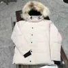 メンズパーカーウィンダムビッググースダウンジャケットカナダ29と女性のカップル冷たい抵抗性リアルオオカミ毛皮