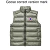 Canadá Giletmens Coletes Moda Puffer Colete Homens Gilet Designer Jaqueta de Inverno Quente e Conforto Sem Mangas Down Veste Gola Alta Bolso Duplo Bordado no Peito Designe