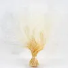 Fleurs décoratives Accessoires de mariage secs naturels Décoration de plateau sur les accessoires de table Décoration de campagne Vases à fleurs Décorations Plantes Rembourrage