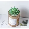 Couronnes de fleurs décoratives flocage accessoires d'arrangement de fleurs fausse plante en plastique succulente en pot Simation livraison directe maison Garde BJ