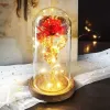 Cadeau de Saint-Valentin Beauté Rose éternelle Lumière LED éternelle La Belle et la Bête Rose dans un dôme de verre Cadeau d'anniversaire pour la Saint-Valentin 1201