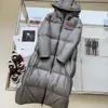 Women Pradaa Long Down Parka P Designer Down Coat Ladies Men Couple Hooded Down Cotton Bread Warm Thickened Coat Coat Cotton Warm Top Quality Clothing