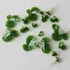 Decoratieve Bloemen Kunstbloem Eendekroos Plastic Gras Blad Plant Woondecoratie DIY Accessoires Aquarium Decors