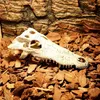 Reptielbenodigdheden dinosaurusbot dodge huis hars reptiel habitat aquatisch landschap simulatie schedel aquarium decoratie 231201