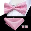 Papillon Hi-Tie Elegent Cravatta da uomo Gemelli fazzoletto da taschino Set Papillon con nodo a farfalla in seta pre-legato per regalo di festa maschile per matrimoni aziendali