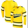 Custom Michigan Hockey Jersey Adam Fantilli Gavin Brindley Luke Hughes Rutger McGroarty Seamus Casey Quinn Hughes Dylan Larkin Cam York Stitched