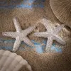 السيدات المعدنية الكبرى Starfish Stud أقراط للنساء سحر Desinger Trendy Dearing