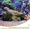 Sürüngen Malzemeleri Akvaryum Habitat Süsleme Tankı Sığınak Taş Mağarası Kaya Aksesuarları Kaplumbağa Dekor Gecko Yılan Zanaat Dinlenme Saklanması Sakallı 231201
