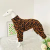 Vêtements pour chiens Vêtements de lévrier italien automne et hiver épaissi chaud grand élastique Whippet Bedlington grand chien terrier 231130