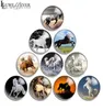 10mm 12mm 14mm 16mm 20mm 25mm 30mm 564 Horse Round Glass Cabochon smycken Hitta Fit 18mm Snap Button Charm Armband Necklace6128226