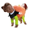 Dog Apparel Halloween Pet Costume Cute Pumpkin Design Comfortable Eye-catching Cat Clothes For Home Party Decor Fancy Dress Up