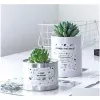 Couronnes de fleurs décoratives flocage accessoires d'arrangement de fleurs fausse plante en plastique succulente en pot Simation livraison directe maison Garde BJ