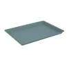 Plates Lightweight Tray Capacity Serving With Non-slip Base Bpa Free Reusable Plastic For Fruit Cookies Desserts Durable