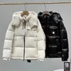 Designer Jacket Mäns nedslag Bright Matte Style Kvinnor Stylish Warm Winter Jackets Luxury Brand Hooded Windsectyed Warmed Clothing S-1