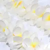 Dekorativa blommor 4 PCS Hawaiian Halsband Garland Floral Wreath Artificial Flower Headband Headpiece White White