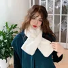 Halsdukar Höstmodeller Imitation förtjockade plysch flickor mysiga vinter faux halsduk för kvinnor wraps