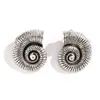 Desinger Big Conch Metal Shell Studs For Women Trendy Charms Daminie Biżuteria Moda Kobieta