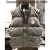 Kanada giletmens västar designer jacka väst herens gilet puffe parka klassisk casual coat lyx ner kvinnors fjäderfyllda material grafit grå svart vit pop cgoo