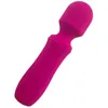 Vibratorer AV Stick Vibration Massage Charging Female Masturbator Sexiga vuxna produkter OEM