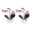 الزهور الزخرفية 2 PCS محاكاة Phalaenopsis النباتات مزينة مصطنعة مصطنعة زخارف عيد الميلاد الصغيرة بونساي الحرير زهرة الحمام