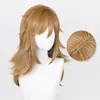 Party Supplies 3 Type Link Wig Cosplay Princess Blonde Brown Anime Wigs Heat Resistant Synthetic Halloween