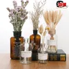 Vases Creative Nordic Glass Vase Hydroponic Modern Minimalist Dried Flowers Ornaments Home Decoration Terrarium 231130