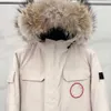 Parkas pour hommes, version haute, veste canadienne, fourrure de loup beige, duvet de canard blanc, unisexe, isolation épaisse, Jos0