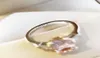 ModeLa nouvelle bague de luxe en diamant avec bande rose en argent sterling S925 pour le printemps 2020 convient à la demande en mariage coupl3230212