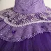 Stage Wear Pirate Variations Tutu High-end Prywatne dorosłe zawody dla dzieci sukienka Purple naleśnik