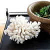 Coral Natural White Coral Aquarium Coral Shell Sea Snail Fish Tank Office Furnishing Aquarium Landscaping Coral Reef 231201