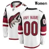 Arizona Hockey Coyotes Jerseys 70 Karel Vejmelka 14 Shayne Gostisbehere 12 Nick Ritchie 17 Nick Bjugstad 19 Troy Terry 90 J.J. Moser 9 Clayt