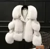 2024 Nieuw damesbont Faux New Fox Fur Haining bontjas voor dames fijn imitatie vossenbont en bont, een jonge en luxueuze stijl