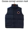 Herenvesten Canada Canadian USA USA Winter Outdoor Populariteit Heren Down Luxe bodywarmer Fashion Jackets Damesontwerpers Designer jas mannelijk vest